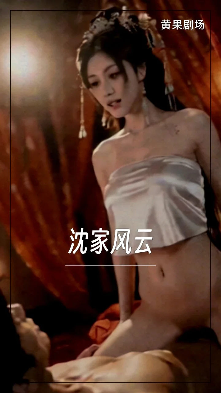 沈家风云